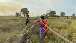 Anggota-BPBD-Tapin-melakukan-pemadaman-kebakaran-hutan-dan-lahan-karhutla-t.jpg