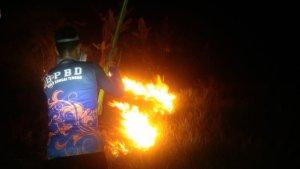Api-kembali-lumat-satu-hektar-lebih-semak-belukar-di-Desa-Rasau-Kecamatan-Pandawan12.jpg