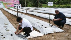 Bupati-HST-Samsul-Rizal-dan-Anggota-DPRD-melaksanakan-tanam-cabai-besar-HST.jpg