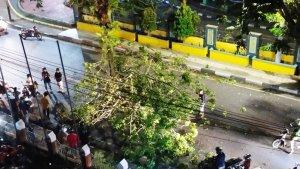 Dahan-pohon-patah-timpa-pengendara-di-Jalan-AS-Musyaffa-Banjarmasin-Minggu-21052023.jpgtruk-pengangkut-ups-sesaat-setelah-menabrak-pohon-di-jalan-as-musyaffa-banjarmasin.jpg