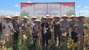 Direktur-Politala-Dr-Hj-Mufrida-Zein-SAg-MPd-melakukan-pemetikan-jagung-bersama-Kapolda.jpg