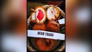 Durian-Trako-durio-graviolens-atau-disebut-juga-tuala12.jpg