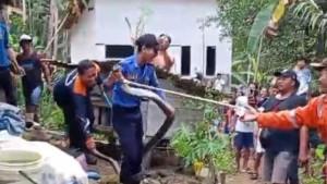 EVAKUASI-KING-KOBRA-Proses-Penangkapan-ular-king.jpg