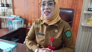 Hj-Marsidah-Kepala-Dinas-Pemberdayaan-Perempuan-dan-Perlindungan-Anak-Kabupaten-Tapin.jpg