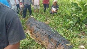 Insiden-Sungai-Arut-Kelurahan-Mendawai-Seberang12.jpg