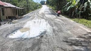 JALAN-BERLUBANG-Kondisi-jalan-berlubang-di-Desa-Karang-Sari-Ke1.jpg