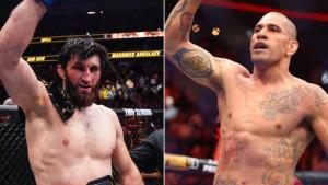Jadwal-dan-Jam-Tayang-UFC-320-Magomed-Ankalaev-vs-Alex-Pereira-Siaran-Mola-TV.jpg