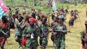 KKB-PAPUA-Pasukan-Satgas-Damai-Cartenz-bersia.jpg
