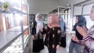 KUNJUNGAN-0Kotabaru-Suwanti-saat-mengunjungS.jpg