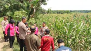 Kapolres-HST-AKBP-Jupri-bersama-jajaran-saat-meninjau-sentra-pertanian-jagung-di-Desa-Awang.jpg