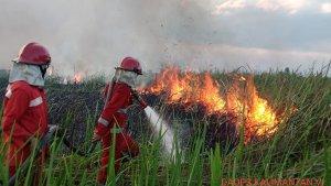 Karhutla-di-Desa-Gunung-Raja-Kecamatan-Tambang-ulang-Tanahlaut.jpg