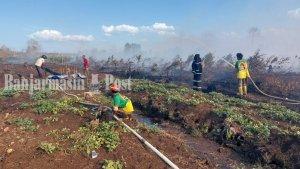 Karhutla-di-Jalan-Sempati-Ujung-Tegal-Arum-dekat-Bandara-Banjarbaru-Rabu-13092023.jpg