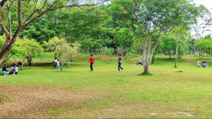Kebuntara.jpg