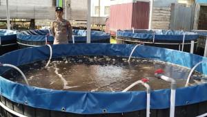 Kolam-Bioflok-bantuan-CR-Hasnur-yang-diserahkan-Polda-Kalsel.jpg