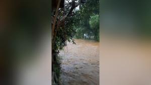 Kondisi-debit-air-di-aliran-Sungai-Loksado.jpg