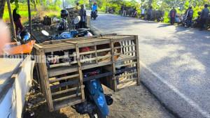 Kondisi-penjualan-ayam-Kampung-di-Simpang-Empat-jalan-Walangsi-Kapar-Barabai1.jpg