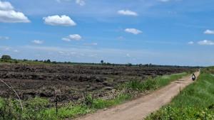 LAHAN-Inilah-lahan-cetak-sawah-baru-yang-tuntas-dikerjakan-di-Ds.jpg