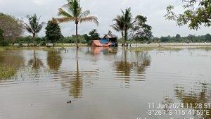 Lahan-pertanian-yang-terendam-banjir-di-Kabupaten-Tanahbumbu.jpg