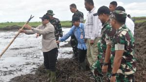 Lokasi-cetak-sawah-di-Desa-Lungau-Kecamatan-Kandangan.jpg