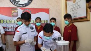 MUSNAHKAN-NARKOBA-Satuan-Reserse-Narkoba-Sat-Resnarkoba-Polresta-Pontiad.jpg