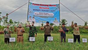 PANEN-Panen-raya-bawang-merah-di-Dusun-Jayas.jpg