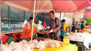 PEDAGANG-AYAM-Saat-ini-pedagang-ayam-potD.jpg