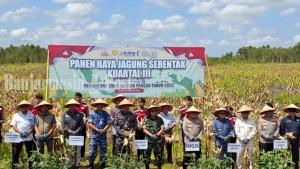 Panen-jagung-di-Jalan-Gubernur-Syarkawi.jpg