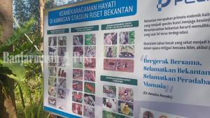 Papan-pemberitahuan-tentang-keragaman-hayati-yang-ada-di-stasiun-riset-Bekantan.jpg