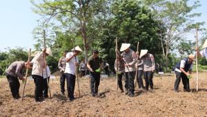 Penanaman-bibit-jagung-di-hss.jpg