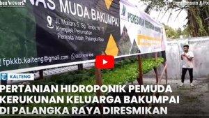 Pertanian-Hidroponik-pemuda-KKB-diresmikan-di-Palangkaraya.jpg