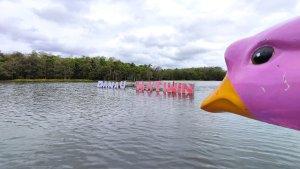 Pesona-Danau-Hatiwin-di-Desa-Hatiwin-Tapin.jpg