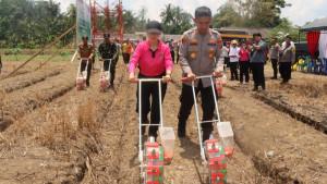 Polres-HST-bersama-masyarakat-tanam-jagung-di-Desa-Pagat-Kabupaten-HST.jpg