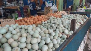 Salah-satu-komoditas-yang-turut-memberikan-andil-atau-telur-ayam-ras.jpg