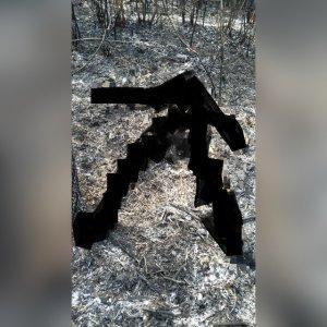 Sesosok-mayat-ditemukan-dalam-kondisi-terbakar-asdf.jpg
