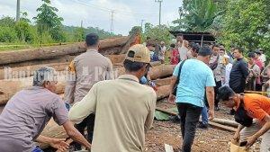 Suasana-evakuasi-korban-tertimpa-kayu-sd.jpg