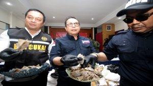 Sustyo-Iriono-memperlihatkan-barang-bukti-sisik-trenggiling-selundupan.jpg