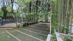 Taman-Rakat-Mufakat-Kandangan-yang-ditumbuhi-berbagai-pohon-dan-tanaman-lainnya.jpg