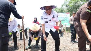 Tanam-jagung-di-Desa-Mawar-Sari.jpg
