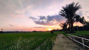 View-sunset-New-Villa-Ubud-Bungur-Baru1.jpg