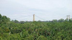 Wisata-Kalsel-Berbagai-jenis-pohon-di-Pulau-Bakut-jadi-penelitian-mahasiswa-kamis-16022023.jpg