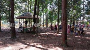 Wisata-Kalsel-HutanPinus-Banjarbaru-sering-jadi-tempat-kegiatan-luar-ruangan-19032023.jpg