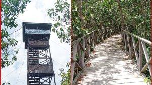 Wisata-Kalsel-Menara-pandang-dan-titian-di-Pulau-Bakut-Kamis-16022023.jpg