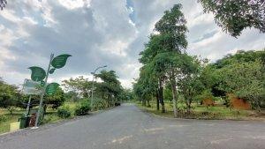 Wisata-Kalsel-Suasana-nyaman-tempat-indah-di-Kebun-Raya-Banua-Banjarbaru-Senin-22052023.jpg