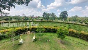 Wisata-Kalsel-Taman-Labirin-di-Kebun-Raya-Banua-di-Kota-Banjarbaru-Senin-22052023.jpg