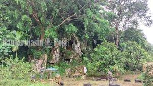 Wisata-Kalsel-Tebing-Gunung-Sialing-di-Desa-Nawin-Tabalong-Minggu-26022023.jpg