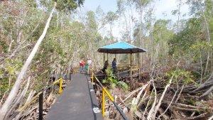 Wisata-Kalsel-gazebo-di-kawasan-konservasi-kayu-galam-PT-jbg-Swarangan-tala-Jumat-24112023.jpg
