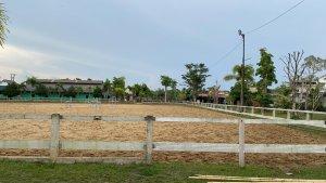 Wisata-edukasi-berkuda-Johnhausstable-Banjarbaru.jpg