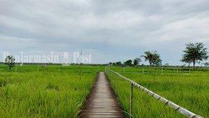 Wsiata-Kalsel-Area-spot-mancing-di-Taman-Mahoni-Bati-bati-Kabupaten-Tanah-Laut-Tala-20062023.jpg