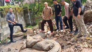 buaya-berhasil-ditangkap-kembali-setelah-lepas-dari-penangkaran-di-kawasan-Jebrod-Cianjur.jpg
