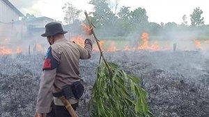 kebakaran-lahan-di-kawasan-jalan-jenderal-soedirman-sampit-kabupaten-kotim-selasa-13072021.jpg